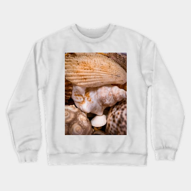 Sea Shells Nature Beach Crewneck Sweatshirt by eleonoraingrid